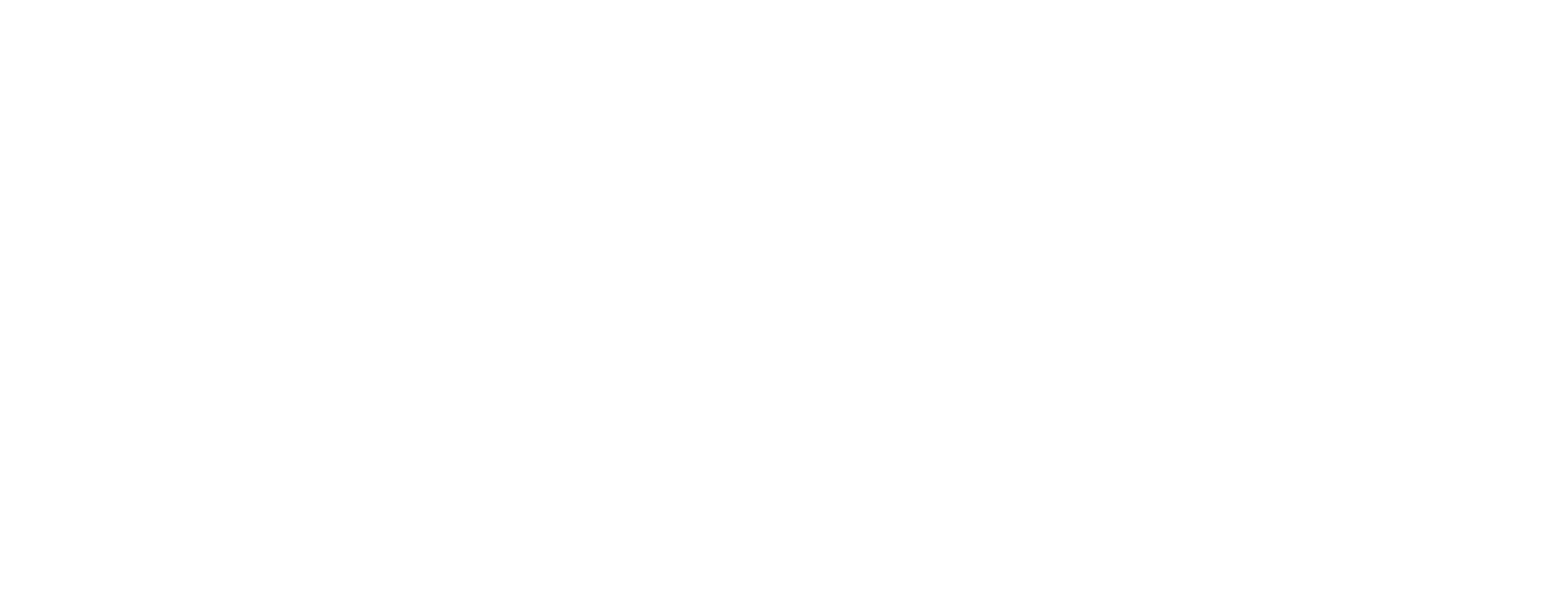 DataDom-Logo 2024-RGB_Monocromatico-Negativo A Logo DataDom bianco
